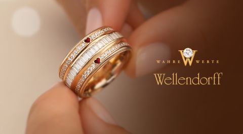 Banner_Wellendorf_Mobil  Banner Wellendorf Mobil